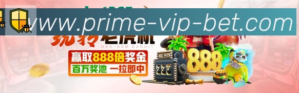 未来规划